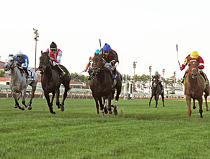 It's Tamareno wins the 2013 Princess Elaine Stakes.