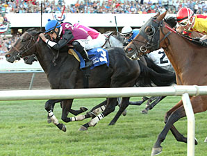 It's Tamareno wins the 2013 Princess Elaine Stakes.