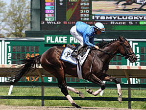 Itsmyluckyday and Elvis Trujillo works at Monmouth Park 5/12/2013.
