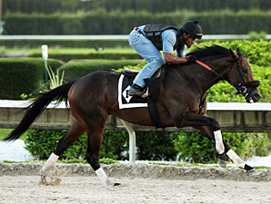 Itsmyluckyday works at Calder.