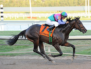 Itsmyluckyday wins the 2013 Holy Bull.