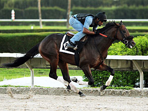 Itsmyluckyday works at Calder, April 25, 2013.