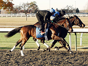 J. B.'s Thunder works at Keeneland, 10/22/10.