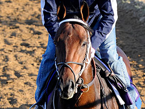 JBs Thunder working at Churchill Downs.