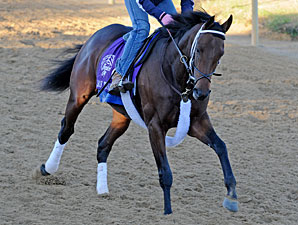 J. B.'s Thunder working towards the Breeders' Cup.