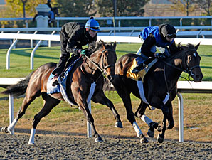 J. B.'s Thunder works at Keeneland, 10/22/10.