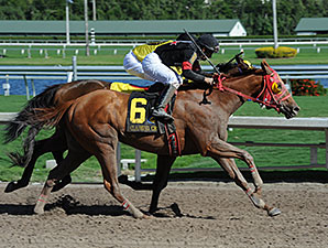 J B's Unc wins the 2014 Iron Horse Stakes.