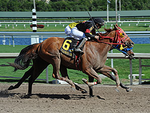J B's Unc wins the 2014 Iron Horse Stakes.