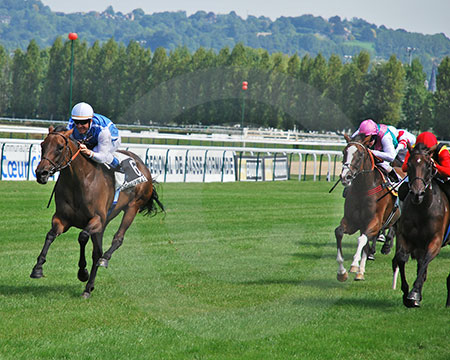 Goldikova down stretch
