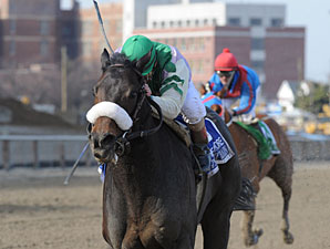 J J's Lucky Train wins the 2011 Bay Shore.