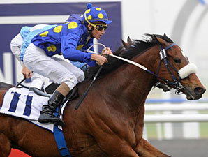 J J The Jet Plane wins the 2011 Al Quoz Sprint.