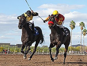 J P Rocker wins the 2014 Gene Fleming Breeders' Derby.