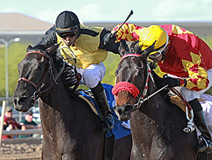 J P Rocker wins the 2014 Gene Fleming Breeders' Derby.