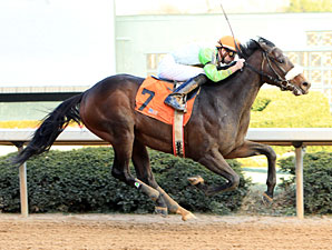 J W Blue Allowance win 01/29/11