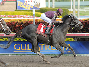 Jackson Bend wins the 2012 Hal's Hope.
