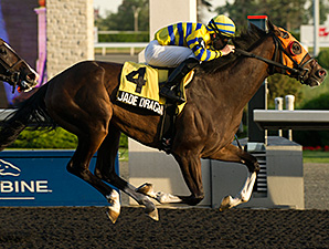 Jade Dragon wins the 2013 Deputy Minister Stakes.