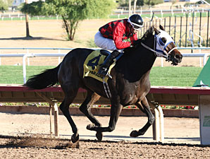 Jamaican Memories wins the 2012 Cactus Wren Stakes.
