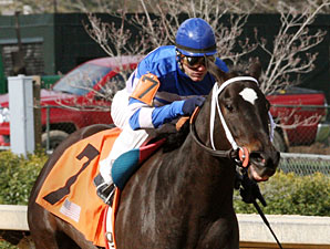 Jan's Perfect Start wins the Arkansas Breeders' Stakes.