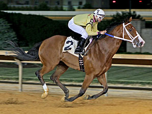 Jax and Jill wins the 2013 Its Binn Too Long Stakes.
