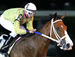Jax and Jill wins the 2013 Its Binn Too Long Stakes.
