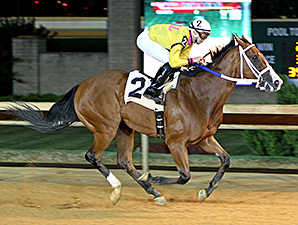 Jax and Jill wins the 2013 Sylvia Bishop Memorial Stakes.