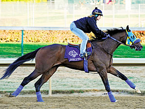 Jaycito 2010 Breeders' Cup.