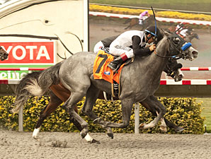 Jedi Mind Trick wins the I'm Smokin Stakes.