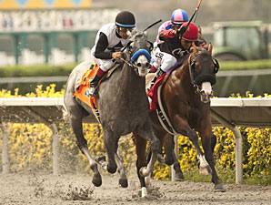 Jedi Mind Trick wins the I'm Smokin Stakes.
