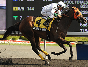 Jenna's Wabbit wins the 2012 Achievement Stakes.