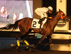 Jenna's Wabbit wins the 2012 Deputy Minister Stakes.