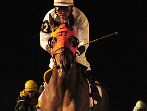 Jenna's Wabbit wins the 2011 Frost King Stakes.