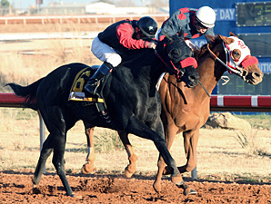 Jenson's Miracle wins the New Mexico Eddy County Stakes.