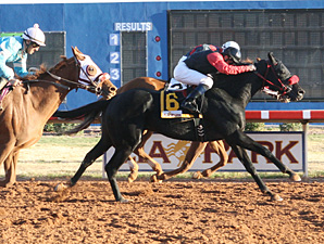 Jenson's Miracle wins the New Mexico Eddy County Stakes.