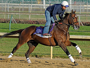 Jeramino at Churchill Downs, November 1, 2001.