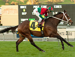 Jeranimo in the 2010 San Gabriel.