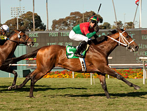 Jeranimo wins the 2012 Shoemaker Mile.
