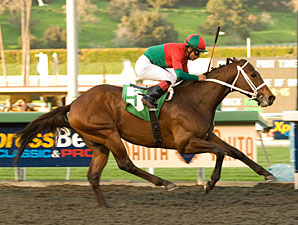 Jeranimo wins the 2010 Strub.