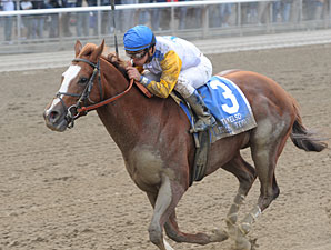 Jersey Town wins the 2012 Kelso.