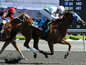 Jesters Jazz wins the 2010 Lady Angela.