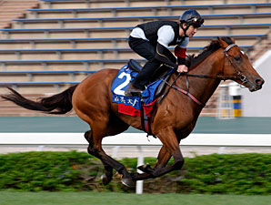 Jimmy Choux, Hong Kong, December 7, 2011.