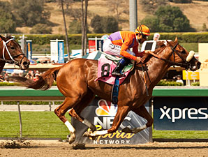 Jimmy Creed wins the 2013 Potrero Grande Stakes.