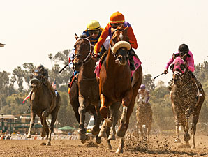 Jimmy Creed wins the 2013 Potrero Grande Stakes.
