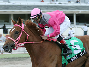 Joanie's Catch wins the 2009 Brave Raj.