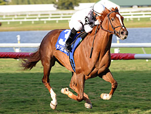 Joes Blazing Aaron wins the 2011 Palm Beach.