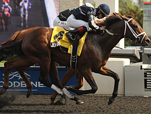 Joha wins the 2012 Colin Stakes.