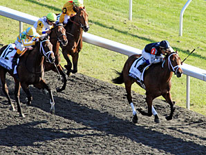 Joha wins the 2012 Dixiana Breeders' Futurity.