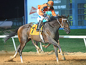 Johnny Whip wins the 2014 Route 66 Stakes.