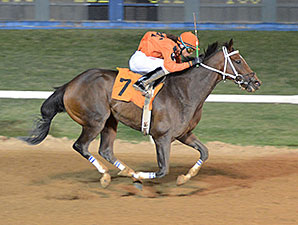 Johnny Whip wins the 2014 Route 66 Stakes.