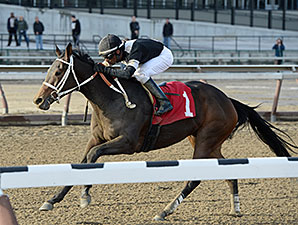 Joint Return wins the 2014 Busher Stakes.