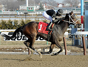 Joint Return wins the 2014 Busher Stakes.